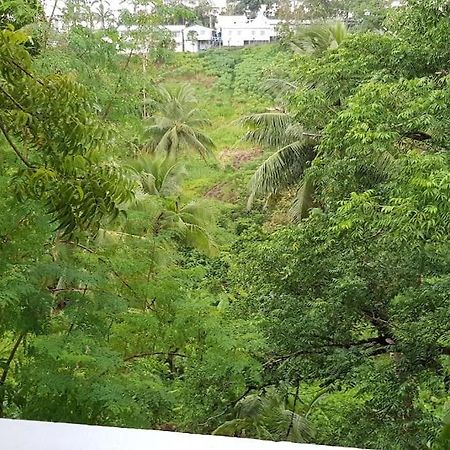 Hill Bottom Accommodation سوفا المظهر الخارجي الصورة