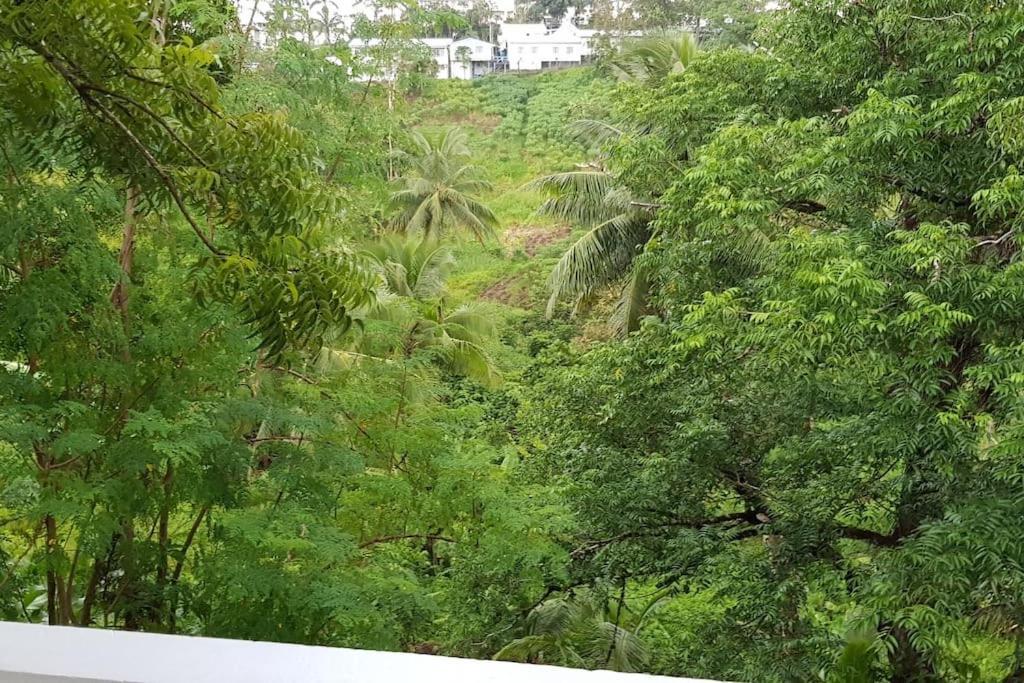 Hill Bottom Accommodation سوفا المظهر الخارجي الصورة